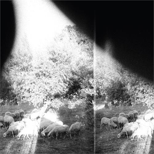 Godspeed You! Black Emperor Asunder, Sweet and Other Distress (LP)